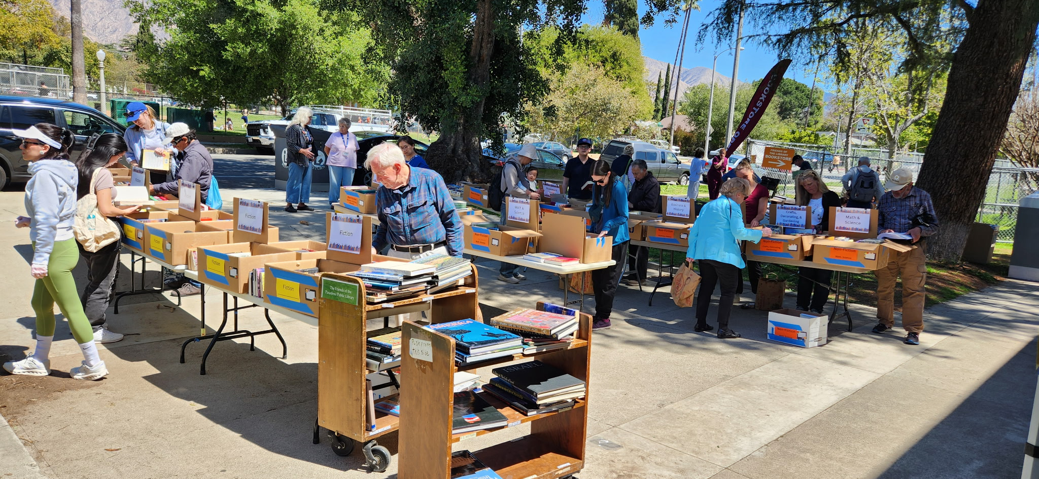 Picture of people browsing boxes of books outside. 